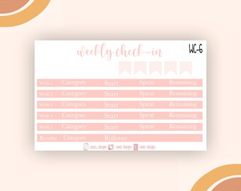 Weekly Check-ins | June | Budget Stickers | Plum Paper Planner | Erin Condren |