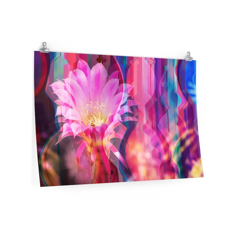 Cactus Pink Flower Matte Photo Print Valentines gift psychedelic artwork living room decor rainbow holiday gift pink floral wall art