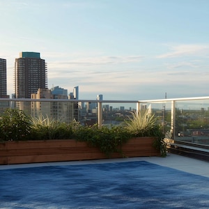 May include: A rooftop scene with a blue rug, wooden planter boxes with greenery, and a cityscape backdrop. The sky is clear, and the scene is bathed in natural light. Tall buildings are visible in the distance.