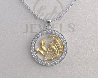 Skorpion Halskette, Skorpion Anhänger, Skorpion Gold Halskette, Skorpion Silber Halskette, Sternzeichen Anhänger, Bestes Geschenk zu Weihnachten