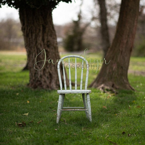 INSTANT DOWNLOAD - Farm House, Rustic Chair in Spring Forest Digital Backdrop - Digital Background for PS & PSe - Digital Backdrop