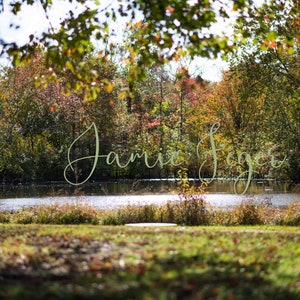 Fall Foliage Rustic Field Digital Backdrop for Lightroom or Photoshop