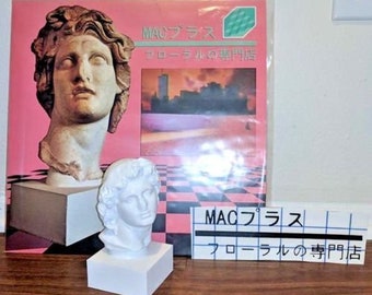 Macintosh Plus Floral Shoppe