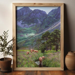 May include: A framed landscape photograph of a mountain valley with a stream running through it. The valley is covered in green grass and wildflowers. There are several brown cows grazing in the meadow. The mountains in the background are a deep purple color.