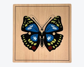PARTS of a BUTTERFLY • Montessori Wood Puzzle • Biology • Insects Cabinet • Ladybug • Fly • Wasp • Snail • Dragonfly
