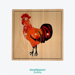 PARTS of a ROOSTER • Montessori Wood Puzzle • Biology • Zoology Cabinet • Frog • Horse • Fish • Turtle • Bird • Penguin