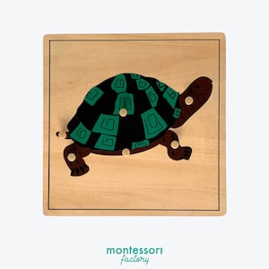PARTS of a TURTLE • Montessori Wood Puzzle • Biology • Zoology Cabinet • Frog • Horse • Bird • Fish • Rooster