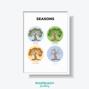 SEIZOENEN van het JAAR Wetenschap Aardrijkskunde Kinderkamer Home Decor Kunst aan de muur Montessori Kleuterschool Primaire Educatieve Poster Leerkaart