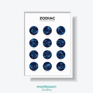 ZODIAC CONSTELLATIONS • Arte mural • Póster educativo • Tabla de aprendizaje • Imprimible
