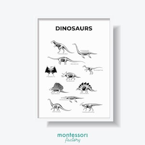 DINOSAURIOS ESQUELETO Ciencia Niños Habitación Pared Arte Decoración Montessori Kindergarten Primaria Póster Educativo Tabla de aprendizaje Imprimible