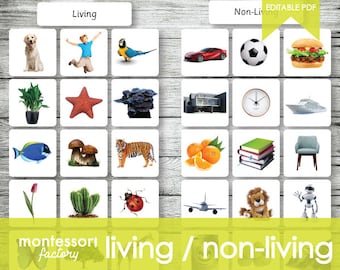 Montessori Living Non-Living Sorting Cards, Educational Material (Editable PDF)