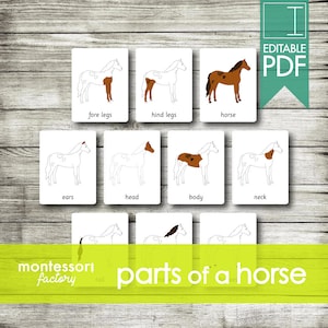 PARTES de un CABALLO • Tarjetas Montessori • Tarjetas Flash • Tarjetas de Tres Partes • Tarjetas de Nomenclatura • Material Educativo • Imprimible • PDF Editable