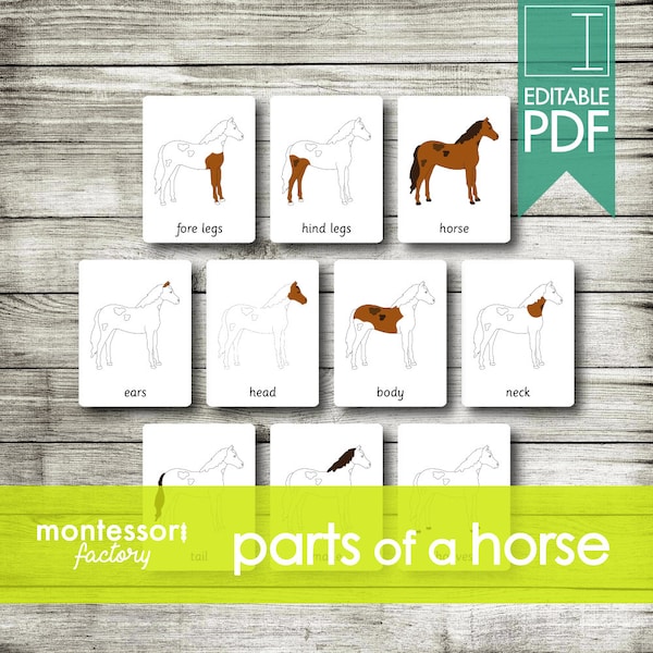 PARTIES d'un CHEVAL • Cartes Montessori • Cartes Flash • Cartes en trois parties • Cartes de nomenclature • Matériel pédagogique • Imprimable • PDF modifiable