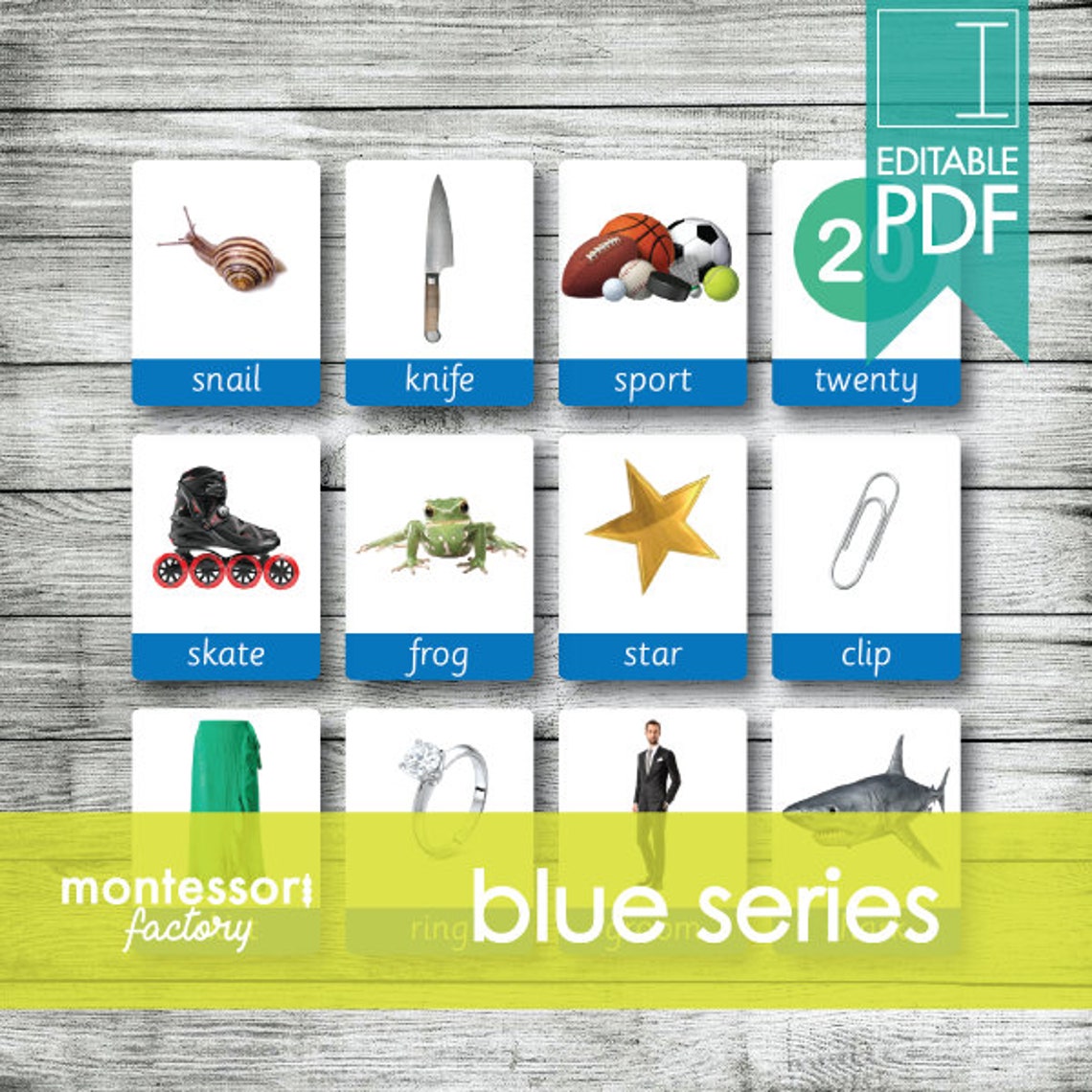 Montessori Blue Series Flash Cards • Editable PDF Nomenclature Cards - Etsy