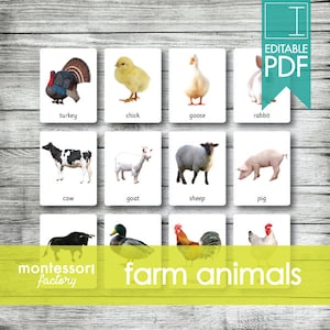 FARM ANIMALS • Montessori Cards • Flash Cards • Three Part Cards • Nomenclature Cards • Educational Material • Printable • Editable PDF