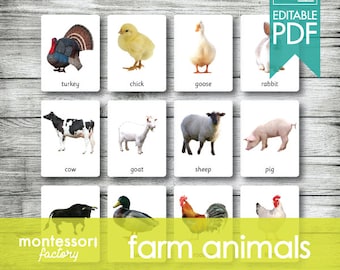 FARM ANIMALS • Montessori Cards • Flash Cards • Three Part Cards • Nomenclature Cards • Educational Material • Printable • Editable PDF