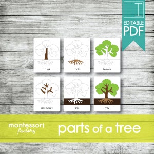 PARTS of a TREE • Montessori Cards • Flash Cards • Three Part Cards • Nomenclature Cards • Educational Material • Printable • Editable PDF