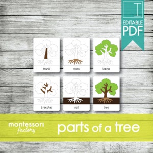 PARTES de un ÁRBOL • Tarjetas Montessori • Tarjetas flash • Tarjetas de tres partes • Tarjetas de nomenclatura • Material educativo • Imprimible • PDF editable