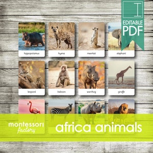 ANIMALES DE ÁFRICA • Tarjetas Montessori • Tarjetas flash • Tarjetas de tres partes • Tarjetas de nomenclatura • Material educativo • Imprimible • PDF editable