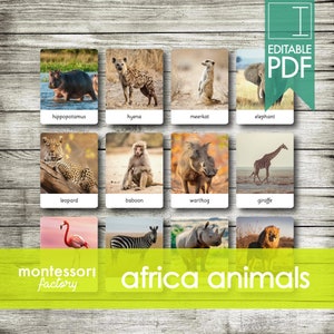 AFRICA ANIMALS • Montessori Cards • Flash Cards • Three Part Cards • Nomenclature Cards • Educational Material • Printable • Editable PDF