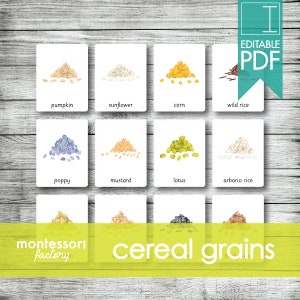 Tarjetas Montessori SEMILLAS y GRANOS de Cereales, Tarjetas Flash, Tarjetas de Tres Partes, Tarjetas de Nomenclatura, Material Educativo, Imprimible, PDF Editable