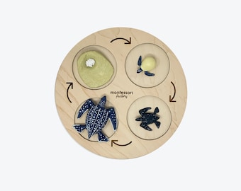 Life Cycle of a LEATHERBACK SEA TURTLE • Montessori Material • Educational Toy • Wooden Life Cycle Tray • Wood Life Cycle • Biology