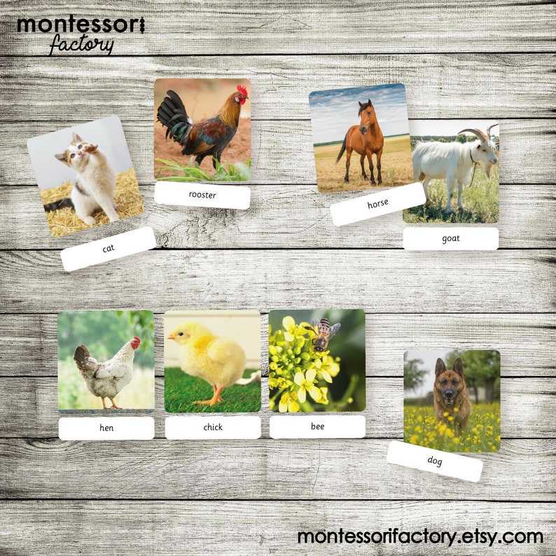 FARM ANIMALS Montessori Cards Flash Cards Three Part | Etsy