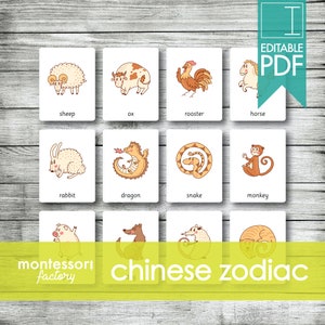 CHINESE DIERENRIEM • HOROSCOOP-tekens • Flitskaarten • Driedelige kaarten • Nomenclatuurkaarten • Montessori • Waldorf • Afdrukbaar • Bewerkbare pdf