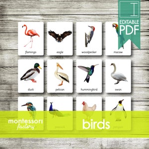 BIRDS ANIMALS • Montessori Cards • Flash Cards • Three Part Cards • Nomenclature Cards • Educational Material • Printable • Editable PDF