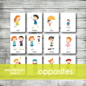 GEGENÜBER ADJEKTIVE Montessori-Karten, Flash-Karten, dreiteilige Karten, Nomenklatur-Karten, Lernmaterial, druckbare, bearbeitbare PDF-Dateien