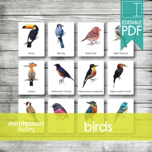 OISEAUX ANIMAUX • Cartes Montessori • Cartes Flash • Cartes en trois parties • Cartes de nomenclature • Matériel pédagogique • Imprimable • PDF éditable