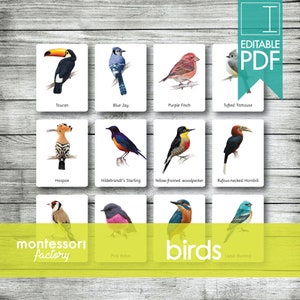 BIRDS ANIMALS • Montessori Cards • Flash Cards • Three Part Cards • Nomenclature Cards • Educational Material • Printable • Editable PDF