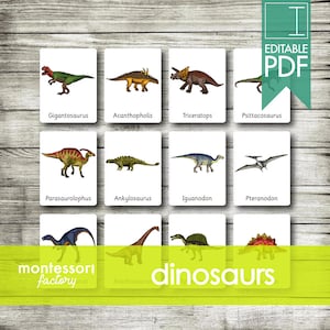 DINOSAURS • Montessori Cards • Flash Cards • Three Part Cards • Nomenclature Cards • Educational Material • Printable • Editable PDF