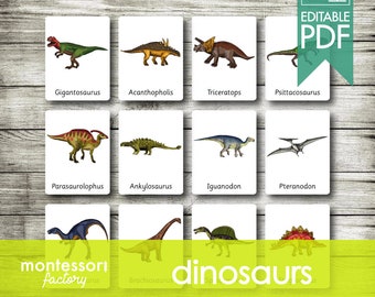 DINOSAURS • Montessori Cards • Flash Cards • Three Part Cards • Nomenclature Cards • Educational Material • Printable • Editable PDF