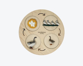 Plateau en bois du cycle de vie de l'oie • Jouet d'apprentissage Montessori