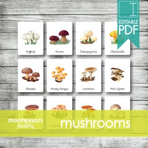 MUSHROOMS FUNGUS • Montessori Cards • Nomenclature Cards • Three Part Cards • Flash Cards • Montessori Printables • Editable PDF File