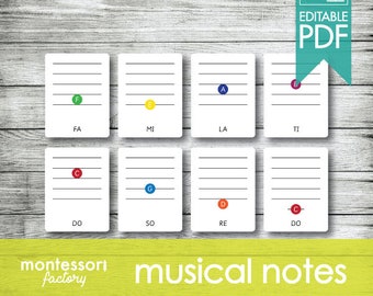 MUSICAL NOTES Rainbow Chorus Bells • Montessori Nomenclature - Flash - 3 Parts Cards • Educational • Fillable - Editable PDF (8 cards)