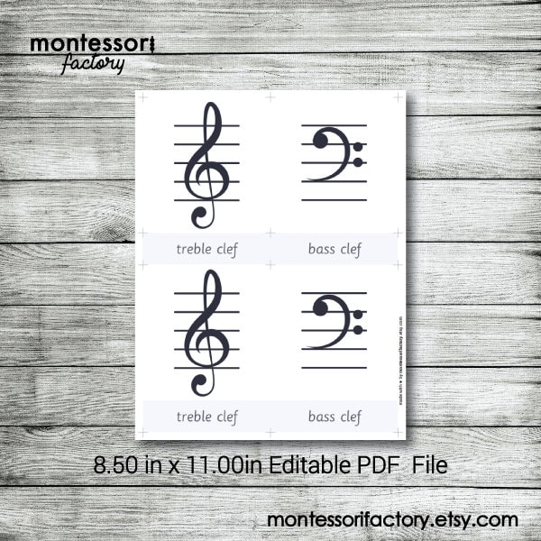 Musical SIGNS SYMBOLS and NOTES Montessori Cards Flash - Etsy Australia