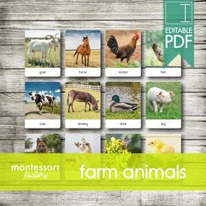 FARM ANIMALS • Montessori Cards • Flash Cards • Three Part Cards • Nomenclature Cards • Educational Material • Printable • Editable PDF