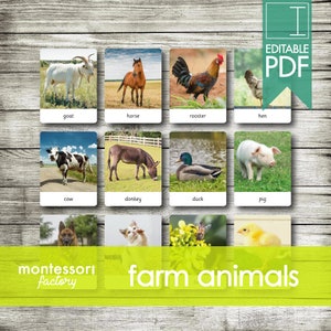 FARM ANIMALS • Montessori Cards • Flash Cards • Three Part Cards • Nomenclature Cards • Educational Material • Printable • Editable PDF