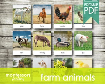 FARM ANIMALS • Montessori Cards • Flash Cards • Three Part Cards • Nomenclature Cards • Educational Material • Printable • Editable PDF