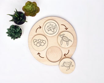 Drewniana tacka z cyklem życia żółwia morskiego • Tablica z zabawkami edukacyjnymi Montessori