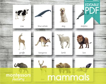 MAMMALS ANIMALS Montessori Cards, Flash Cards, Three Part Cards, Nomenclature Cards, Educational Material, Printable, Editable PDF