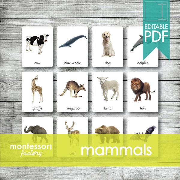 MAMMALS TIERE Montessori-Karten, Flash-Karten, dreiteilige Karten, Nomenklatur-Karten, Lernmaterial, druckbare, bearbeitbare PDF-Dateien