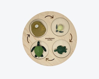 Life Cycle of a GREEN SEA TURTLE • Montessori Material • Educational Toy • Wooden Life Cycle Tray • Wood Life Cycle • Biology • Zoology