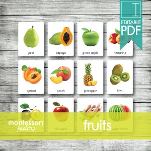 FRUITS (Real Pictures) • Montessori Cards • Flash Cards • Three Part Cards • Nomenclature Cards • Educational • Printable • Editable PDF