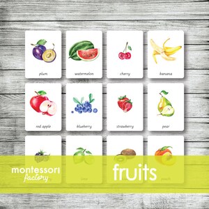 FRÜCHTE • Montessori-Karten • Flash-Karten • Dreiteilige Karten • Nomenklaturkarten • Lernmaterial • Montessori Printable • Editierbare PDF