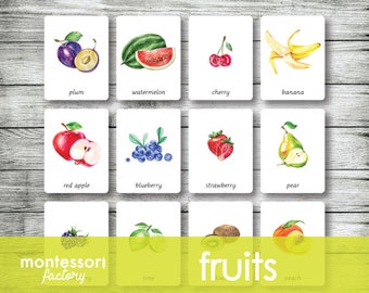 Montessori-Früchte Nomenklaturkarten • Lern-Karteikarten (bearbeitbare PDF-Dateien)