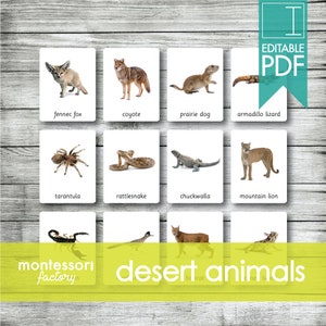 DESERT ANIMALS • Montessori Cards • Flash Cards • Three Part Cards • Nomenclature Cards • Educational Material • Printable • Editable PDF