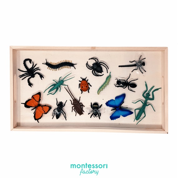 FARM ANIMALS TOOB Figurines Set Montessori Toy Sensory - Etsy FARM ANIMALS TOOB Figurines Set Montessori Toy Sensory - Etsy